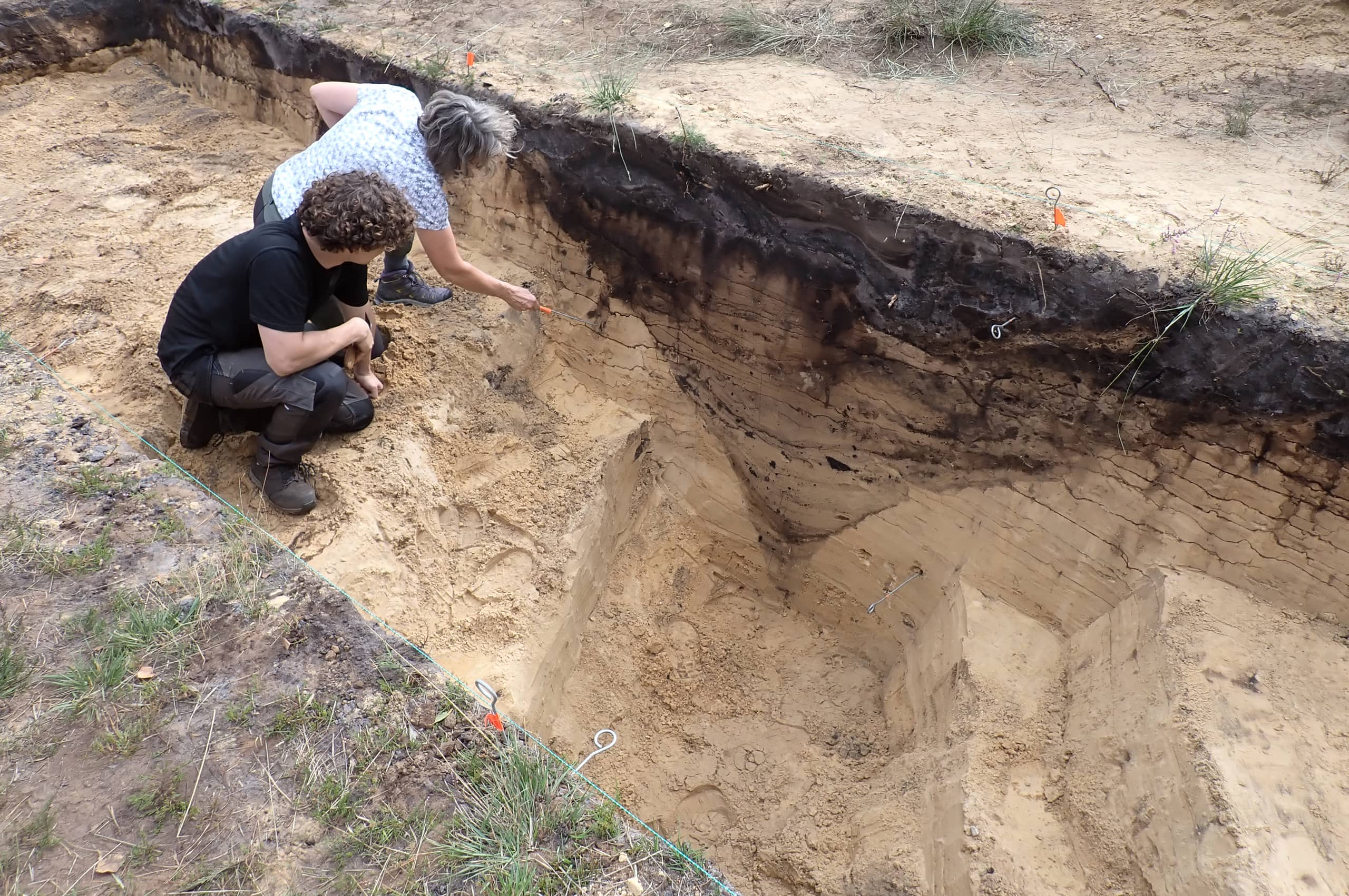 Doorsnede v-vormige gracht Romeins kamp Leuvenum (Ermelo) september 2025