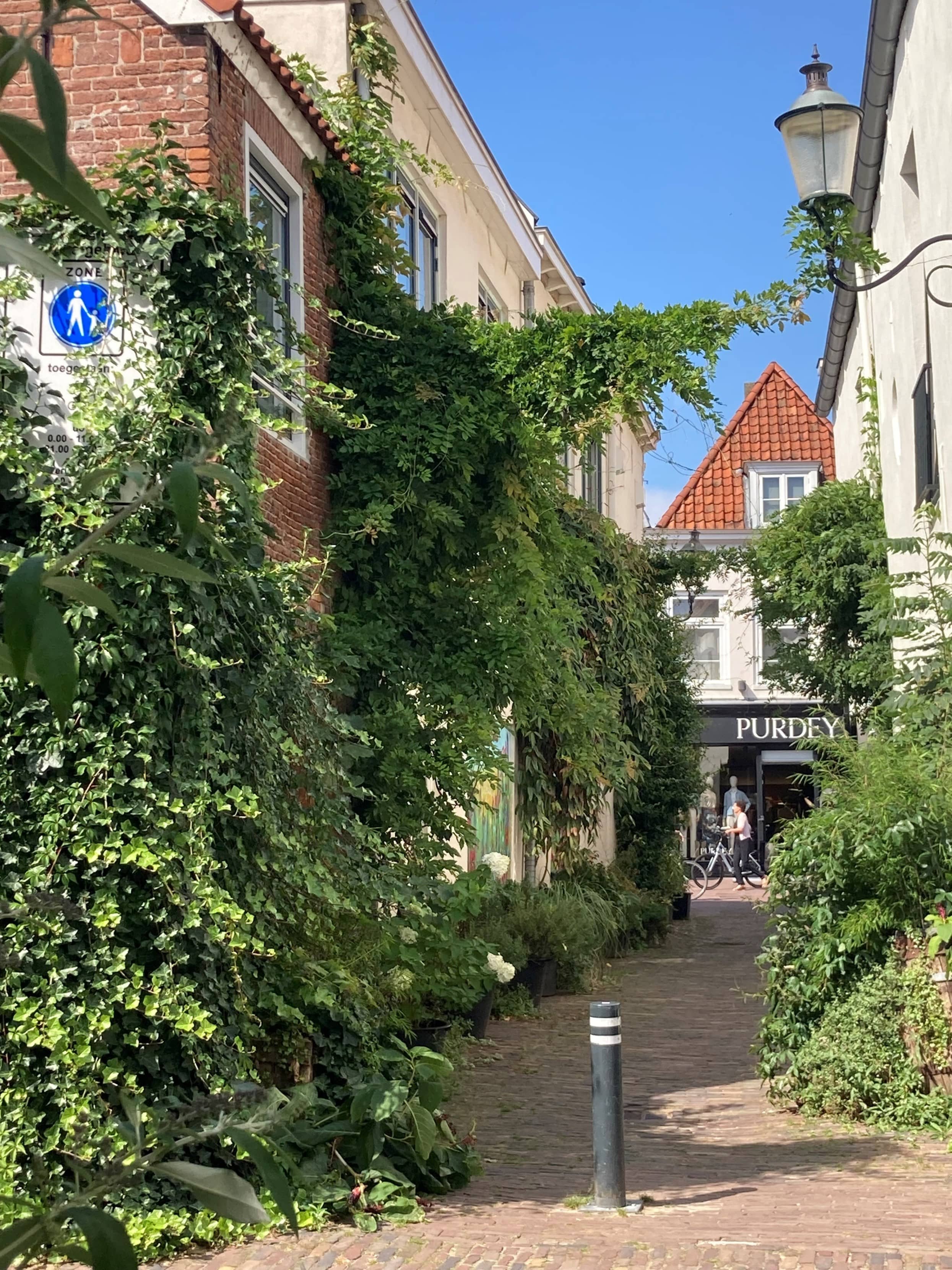 Foto van een zijstraat uitkomend op een winkelstraat. De huizen in de zijstraat zijn voor een groot deel begroeid, evenals het verkeersbord op de voorgrond.