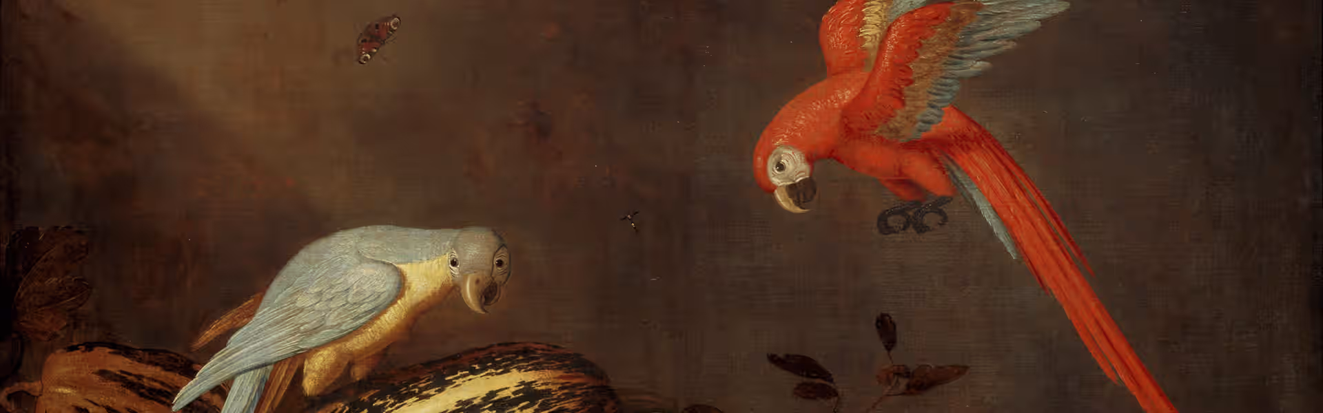 NK1828 Ambrosius Bosschaert de Jonge (?-1645), Stilleven met vruchten, bloemen en twee kaketoes, 1635 Foto: Centraal Museum Utrecht