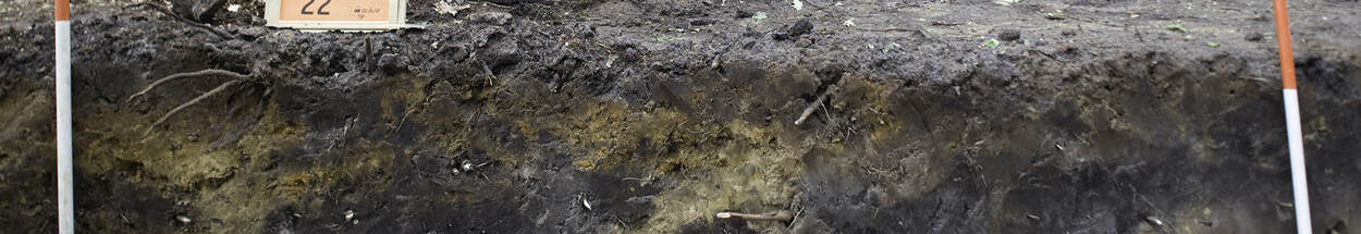 Archeologisch onderzoek in Appel, Gelderland
