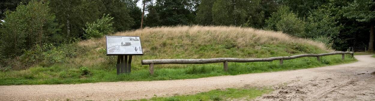 Grafheuvel bij De Friezenberg in Elsen (Overijssel).