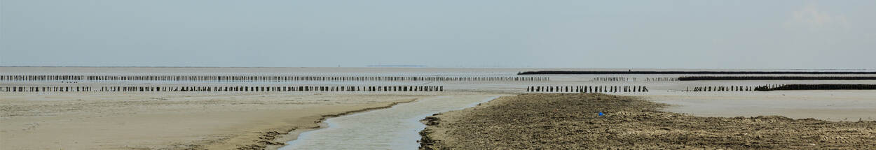 Zicht op Waddenzee bij Holwerd