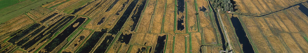 Luchtfoto van de Weerribben
