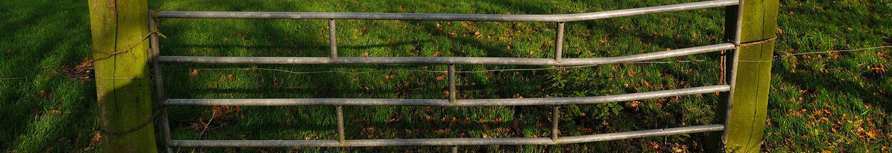 Foto van een weiland met een hek, De Bult te Marum