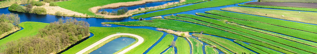 Het lokale riviertje de Drecht eindigt in het veenweidegebied ten oosten van de Loosdrechtsche Plassen.