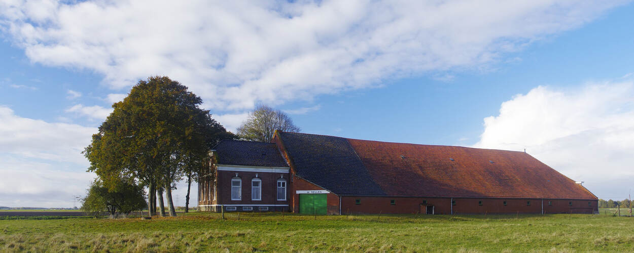 Hoeve De Dellen, Nieuw-Scheemda