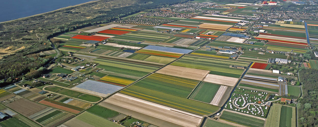 Noordwijkerhout bij Leeuwenhorst