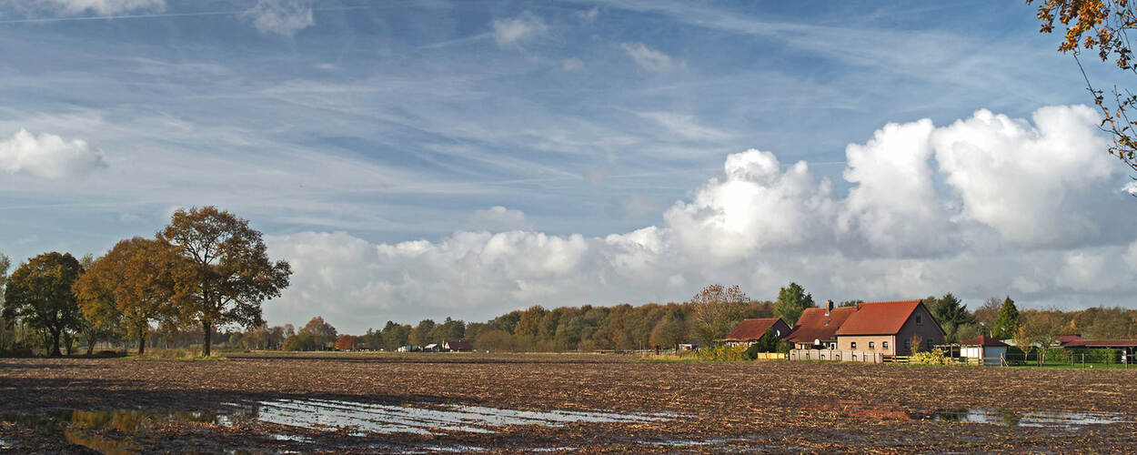 Hollandse Veld