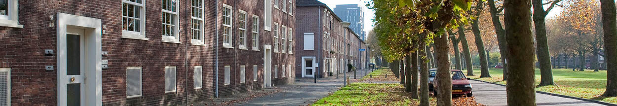 Straat met links een huizenrij en rechts een park. Langs de weg rijen bomen