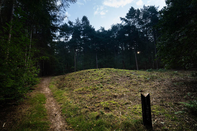 Foto van een grafheuvel in Rheden met een kale heuvel - situatie na opknappen