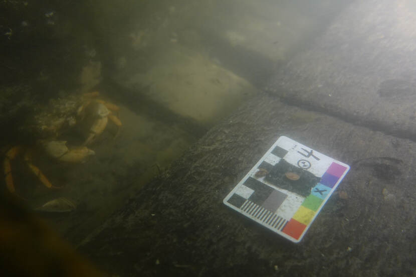 Foto van onderzoek onder water, met de zeebodem en een meetblad