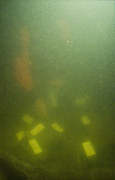 Onderwater foo van het Scheurrak SO1 wrak tijdens de opgraving jaren negentig