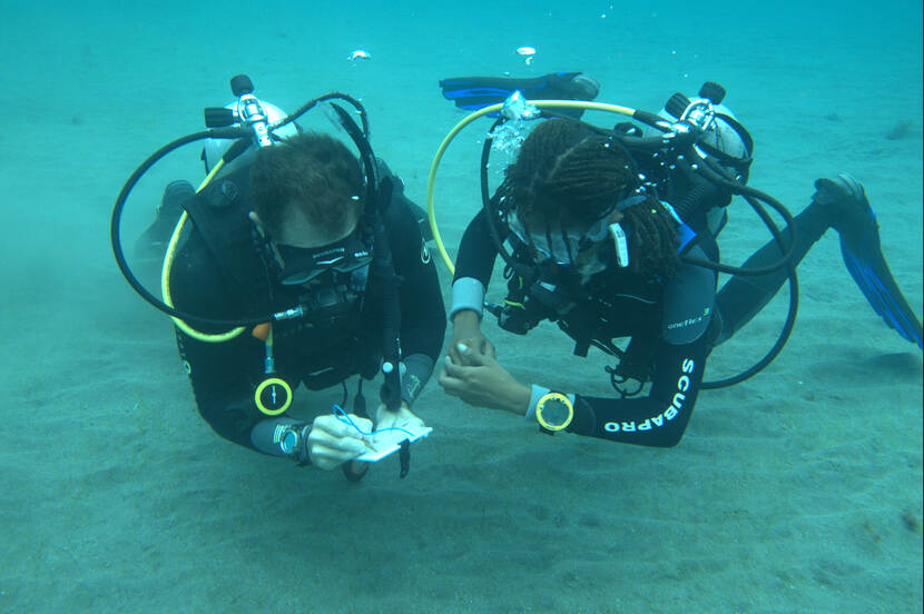 Duikers in gesprek onder water.