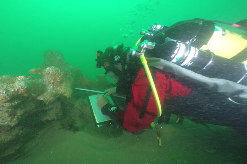 Duiker bij scheepswrak de Rooswijk 2016