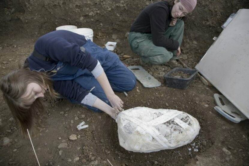Fysieke bescherming van archeologische resten bij een opgraving in Borgharen (Limburg).