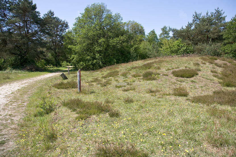 Strubben-Kniphorstbos, archeologisch reservaat, zicht op grafheuvel rechts van zandpad met infomatiepaal.
