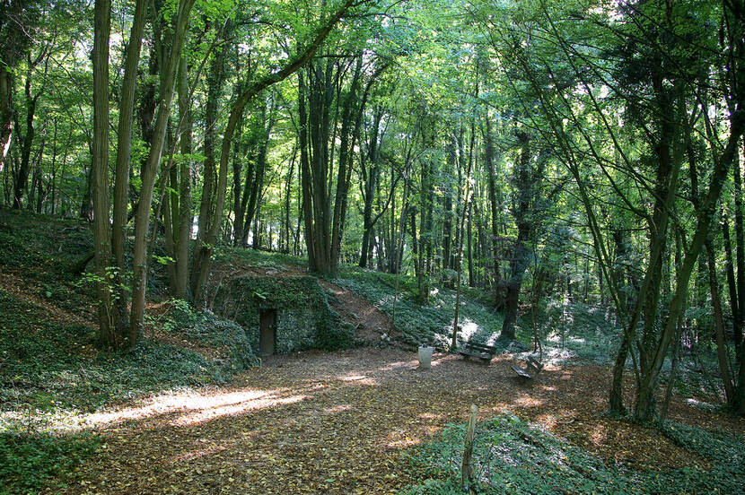 Ingang van een prehistorische vuursteenmijn in Rijckholt in Limburg.