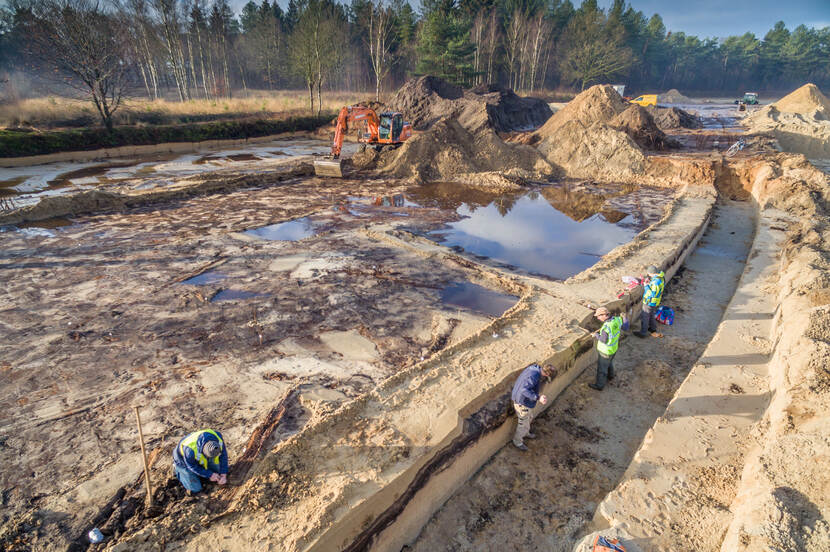 Excavation of the subfossil forest, Leusden, the Netherlands