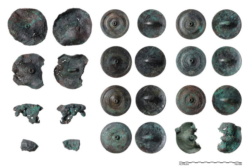 Bronzen sierschijven behorend bij paardentuig uit het wagengraf van Heumen.