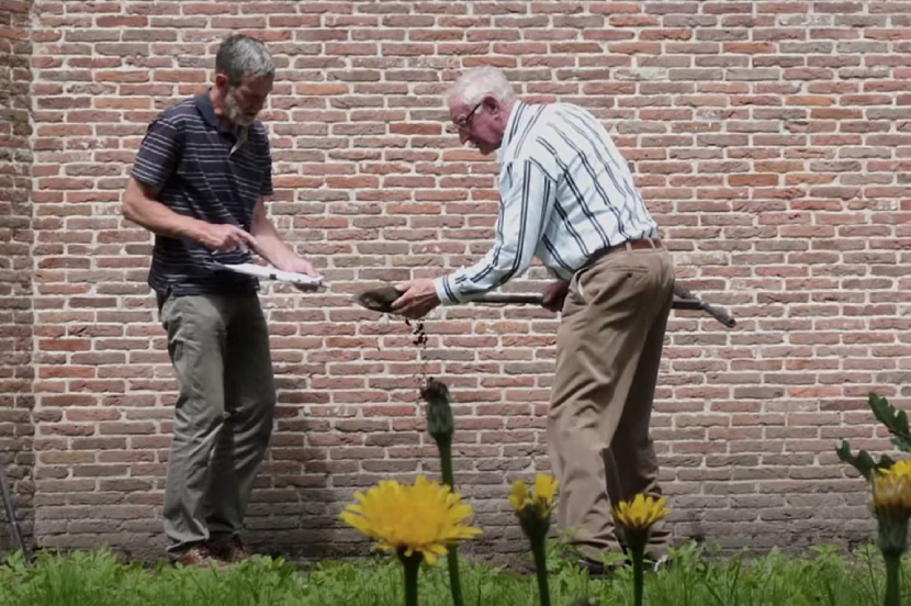 Vrijwilligers beginnen aan het herstel van Nederlands oudste collectie fruitmuren, Buitenplaats Berbice.