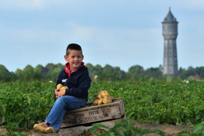 Jongen zit in aardappelveld in Tholen met watertoren Scherpenisse op de achtergrond
