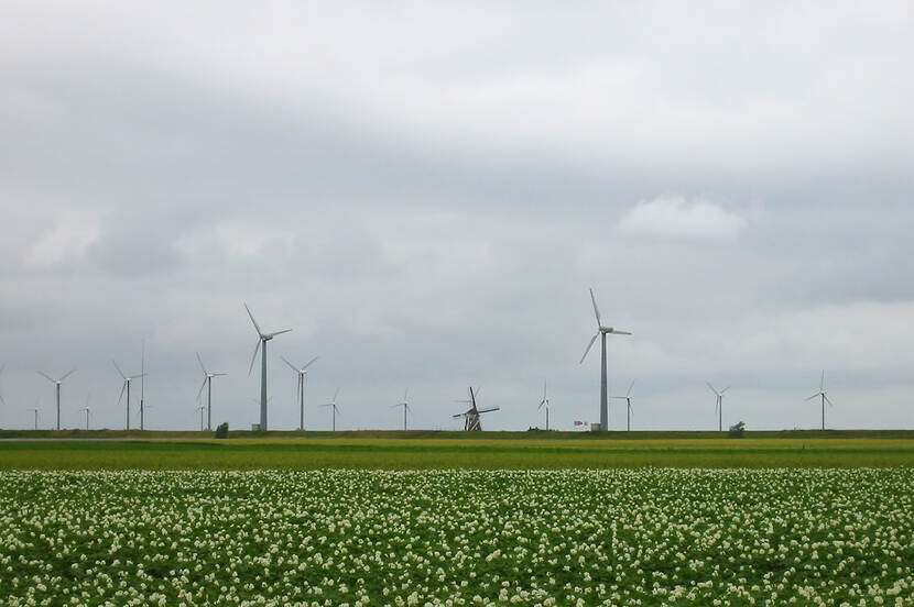 Vergezicht met windturbines en de achtkante grondzeiler Molen Goliath, Eemshaven, Noord-Groningen.