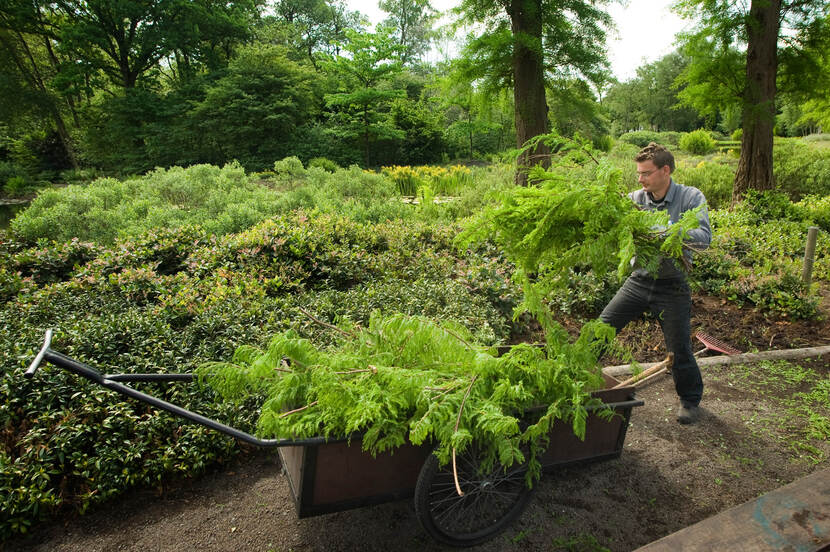 Man met kruiwagen aan het werk in een tuin