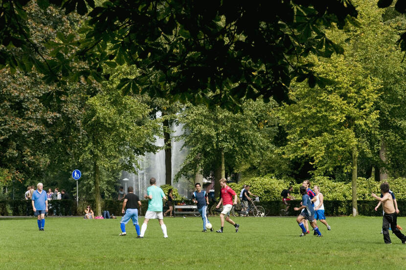 Mensen aan het voetballen op het gras