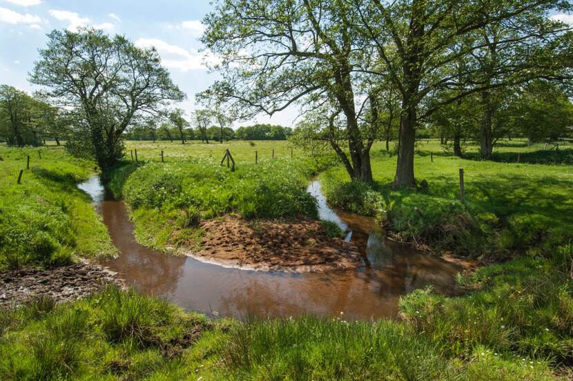 Meanderende beek het Andersche Diep in Drenthe