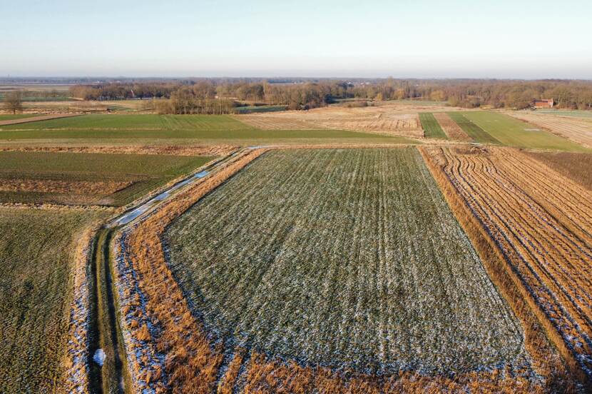 Luchtfoto van een essenlandschap. Op de voorgrond zijn de vormen van het landschap zichtbaar, op de achtergrond verschillende bomenrijen en een boerderij.
