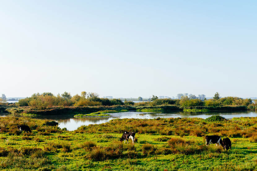 Ode aan het Landschap - Nationale Parken