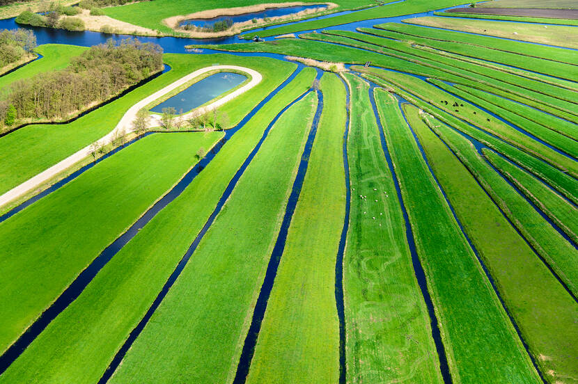 Het lokale riviertje de Drecht eindigt in het veenweidegebied ten oosten van de Loosdrechtsche Plassen.