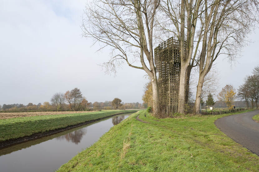 luchtwachttoren tussen de bomen