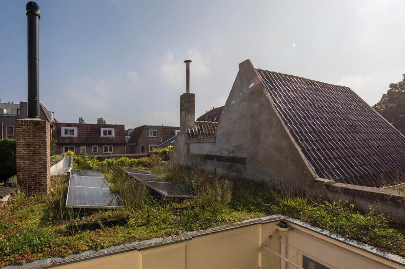 Groendak met zonnepanelen