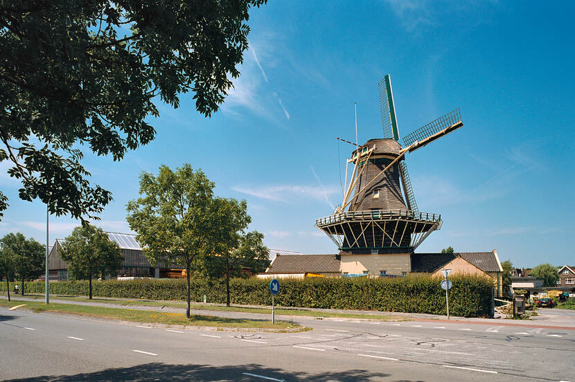 Molen gezien vanaf de achterkant, tegen een helderblauwe lucht. Op de voorgrond een autoweg.