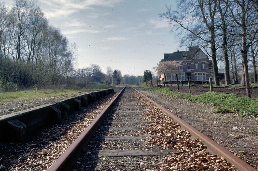 Zicht op een spoorlijn met aan weerszijden kale bomen en rechts bebouwing