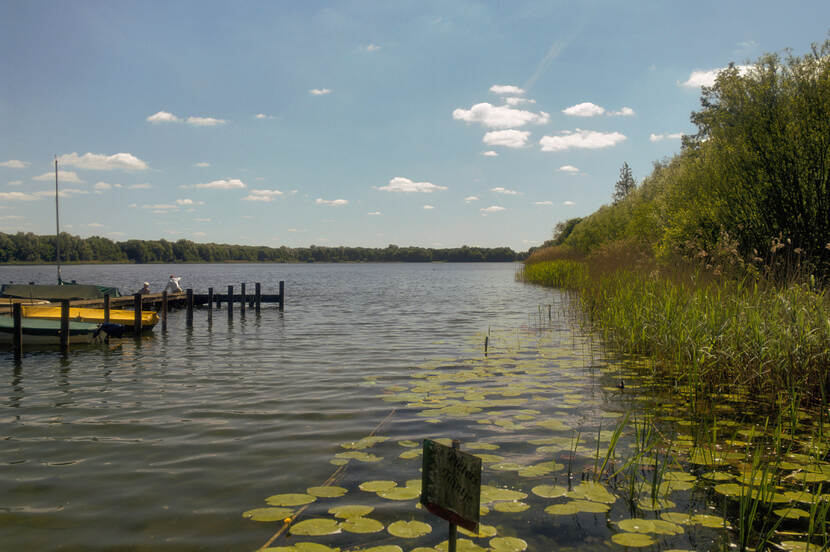 Zicht op plassen in de gemeente Stichtse Vecht, links aanlegsteigers met boten en op de voorgrond waterplanten.