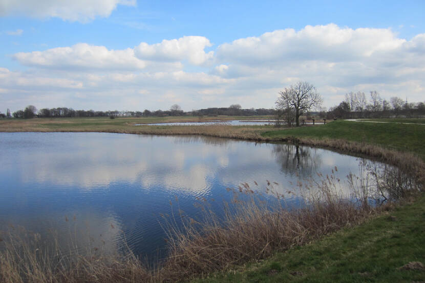 Zicht op een Wiel in de gemeente Zwolle. Een wiel is een diepe poel met water.