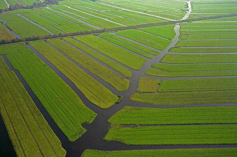 Veervormige verkaveling in de polder Zeevang