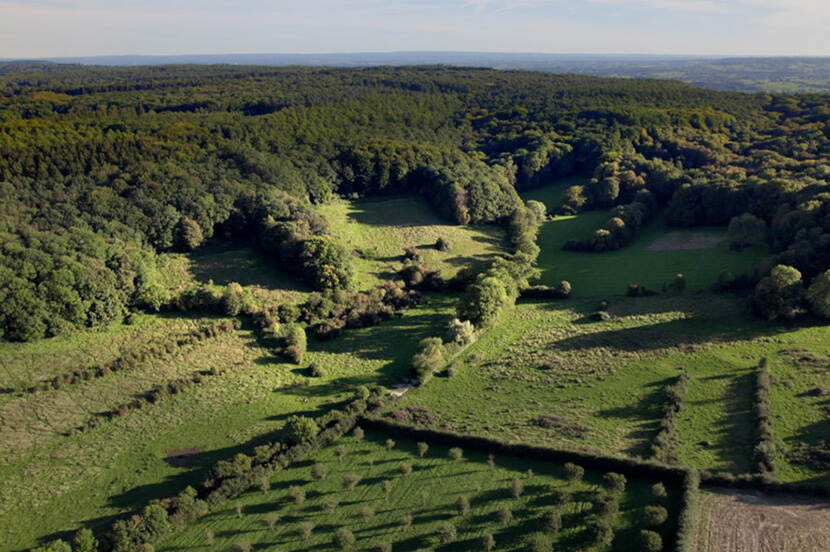 Drone foto van het Vijlenerbos