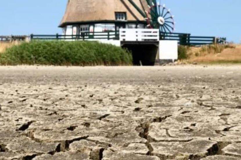 Verdroging bij een molen op Texel