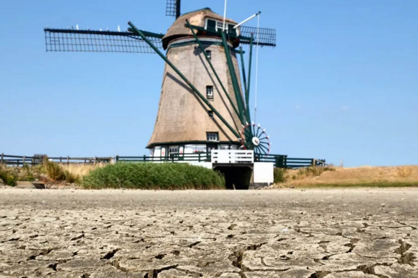 Verdroging van de bodem met op de achtergrond molen Het Noorden op Texel