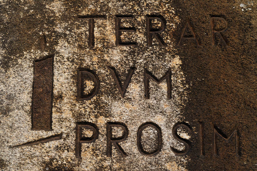 Foto van het herinneringsmonument aan de Klaarkampsterweg, met in steen het motto van de Cisterciënzers gebeiteld: Terar Dum Prosim, Ik moge verteren als ik maar nuttig ben.