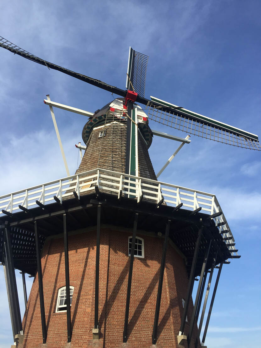 foto van Molen De Zwaan