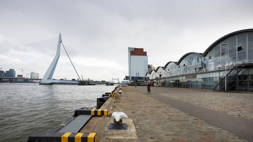 Holland-Amerika Lijn, Rotterdam