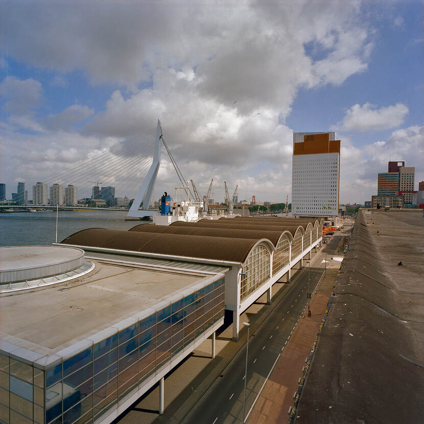 Holland-Amerika Lijn, Rotterdam