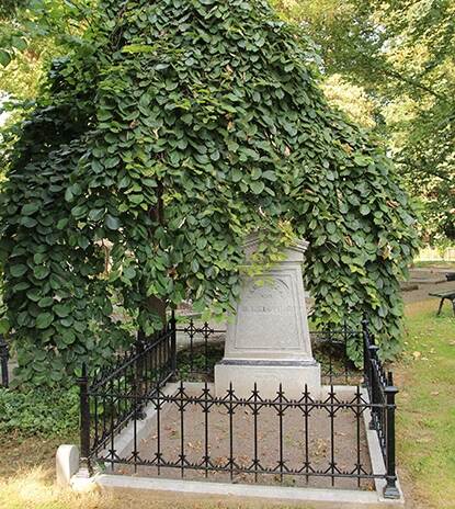 boom met afhangende takken die achter een grafmonument is geplant. Rondom het grafmonument staat een laag hek.