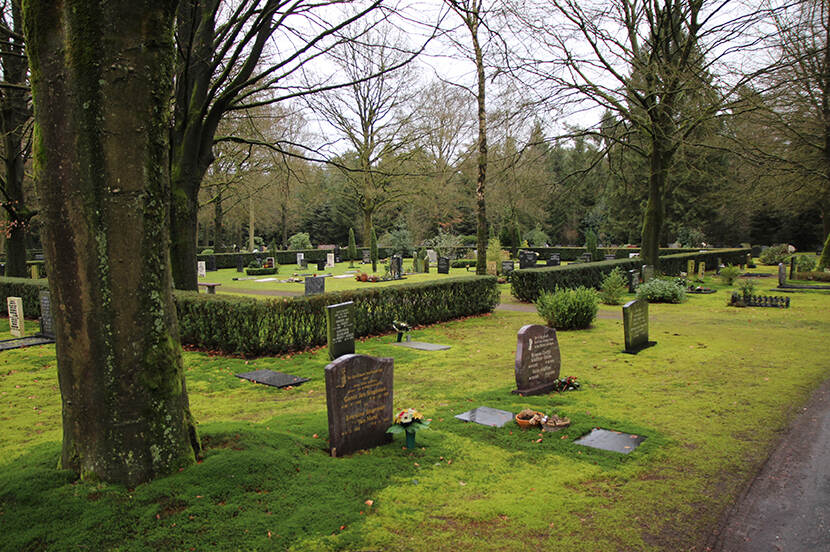 een grafveld met grafmonumenten met daartussen lage haag en op de achtergrond een bos.