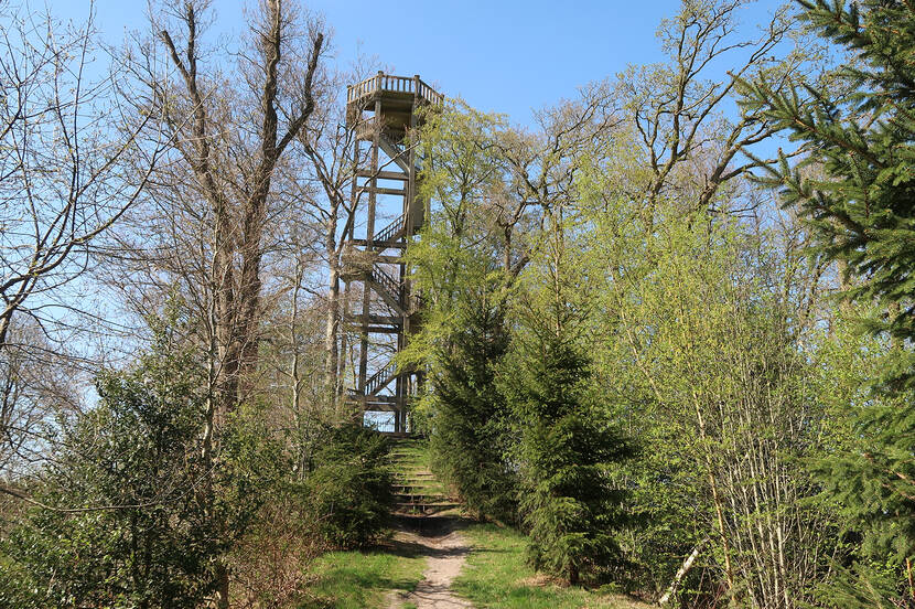 Tjaardas Bos Oranjewoud