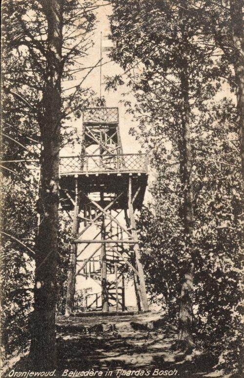 Oude foto van Tjaardas Bos, Oranjewoud